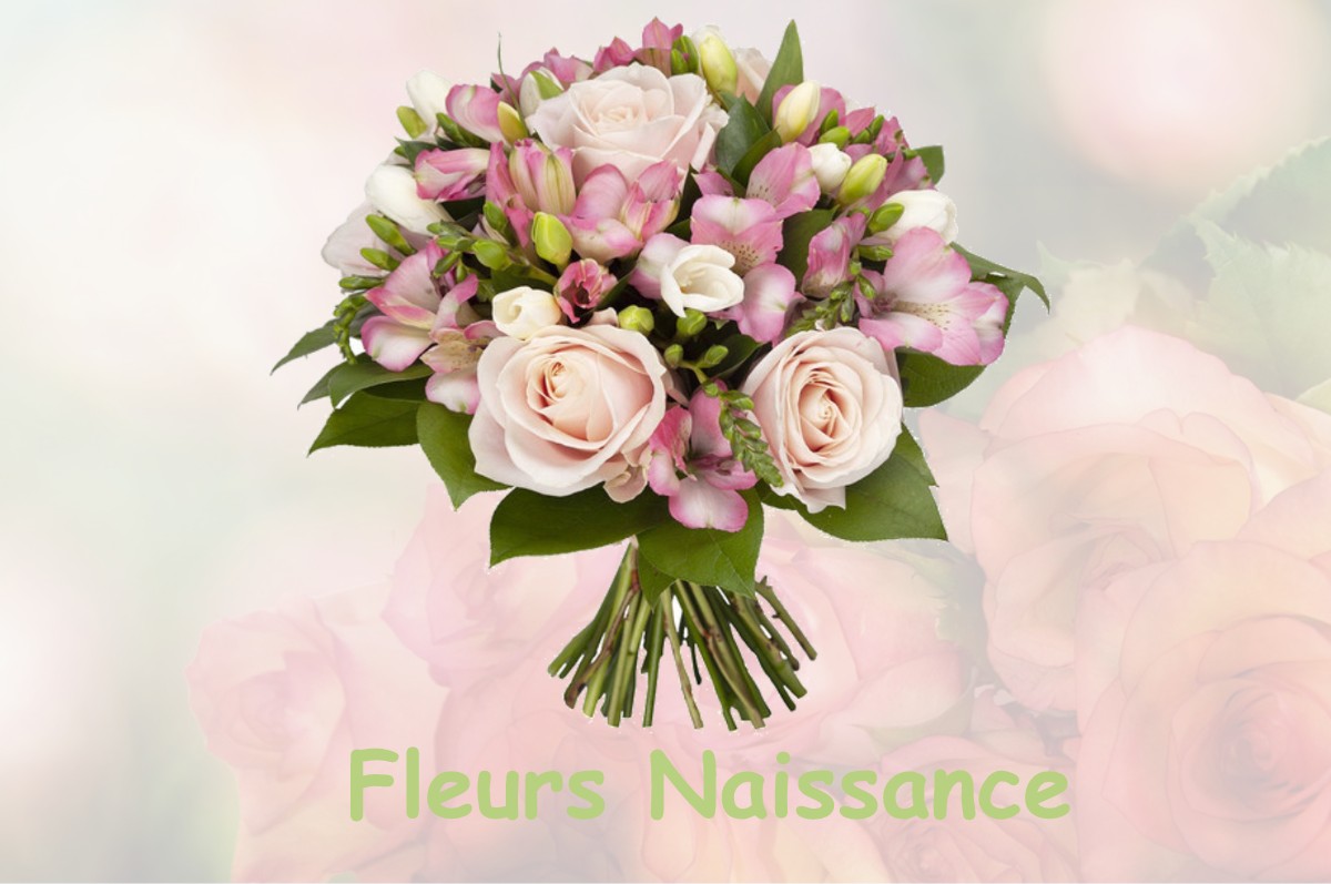 fleurs naissance HUSSON