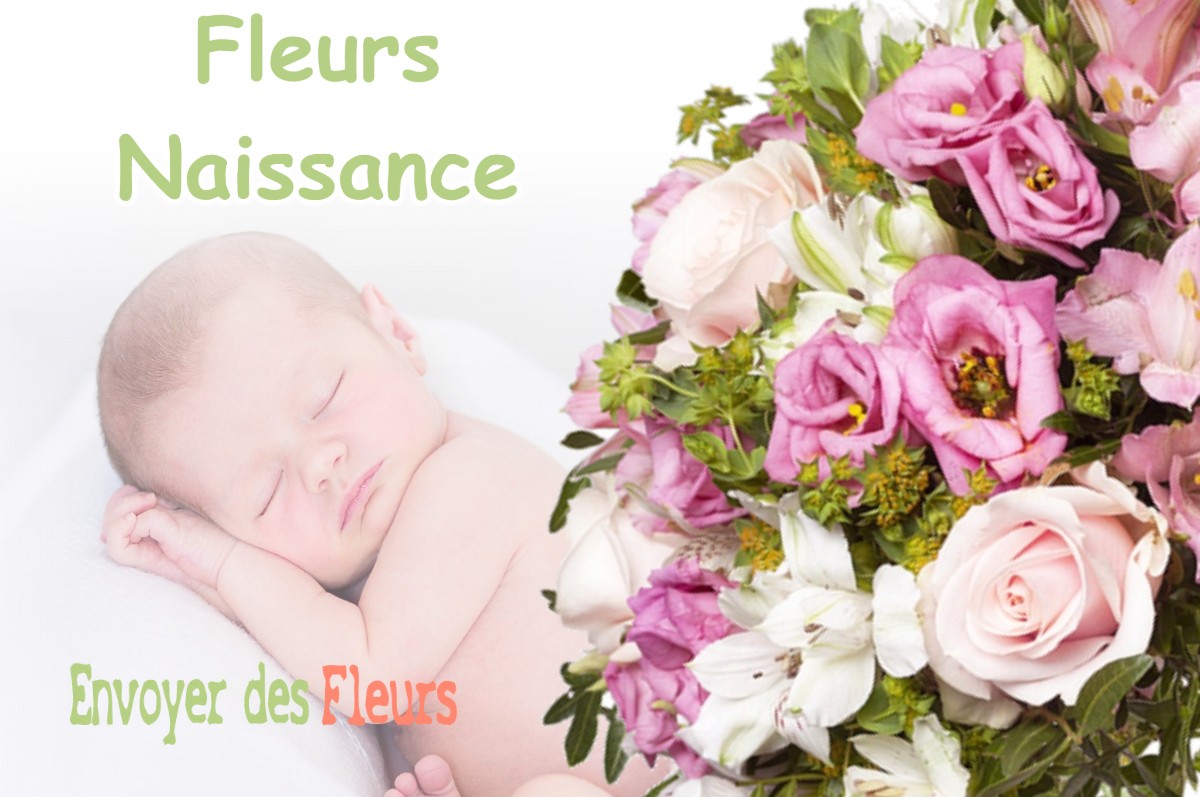 lIVRAISON FLEURS NAISSANCE à HUSSON